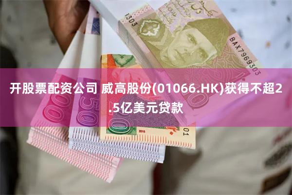 开股票配资公司 威高股份(01066.HK)获得不超2.5亿美元贷款