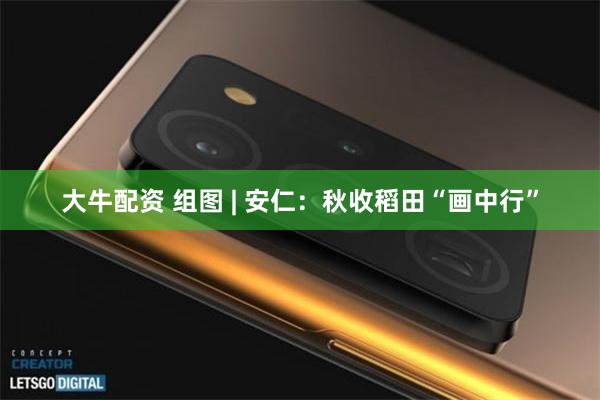 大牛配资 组图 | 安仁：秋收稻田“画中行”