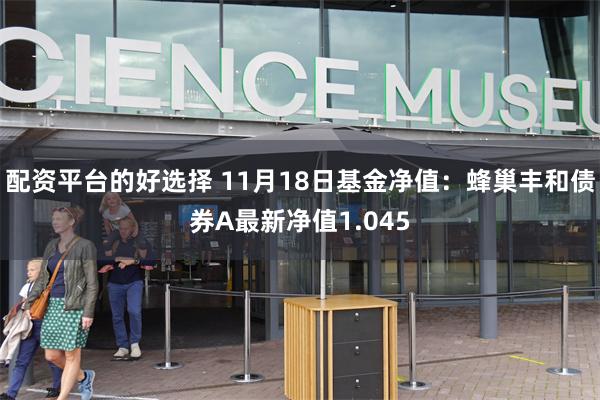 配资平台的好选择 11月18日基金净值：蜂巢丰和债券A最新净值1.045