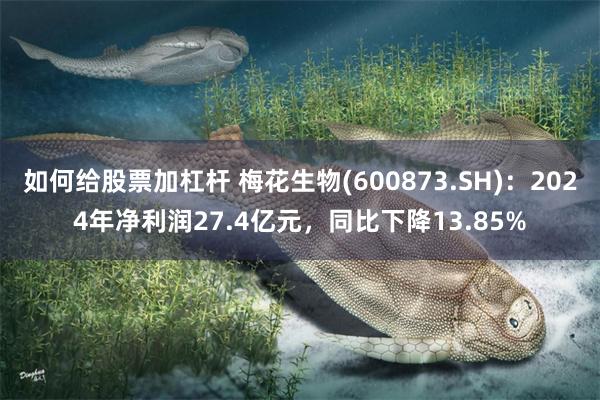如何给股票加杠杆 梅花生物(600873.SH)：2024年净利润27.4亿元，同比下降13.85%
