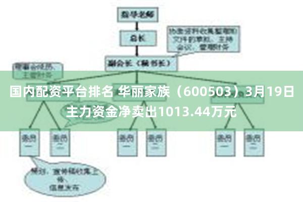 国内配资平台排名 华丽家族（600503）3月19日主力资金净卖出1013.44万元