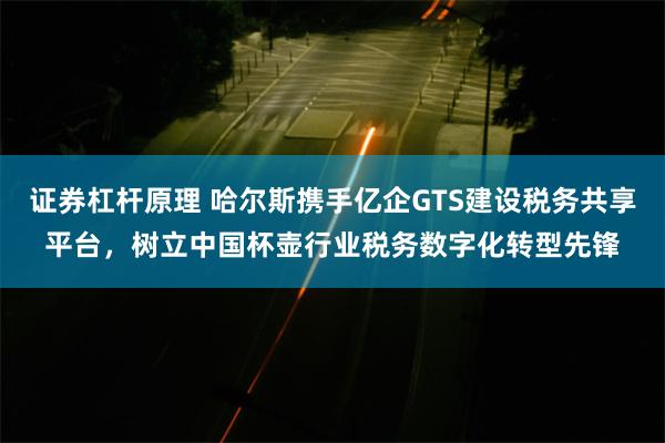 证券杠杆原理 哈尔斯携手亿企GTS建设税务共享平台，树立中国杯壶行业税务数字化转型先锋