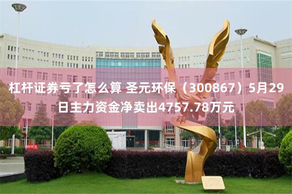 杠杆证券亏了怎么算 圣元环保（300867）5月29日主力资金净卖出4757.78万元