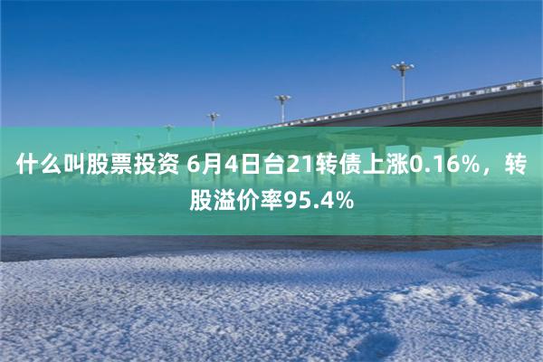 什么叫股票投资 6月4日台21转债上涨0.16%，转股溢价率95.4%