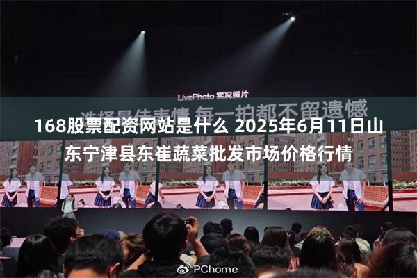 168股票配资网站是什么 2025年6月11日山东宁津县东崔蔬菜批发市场价格行情