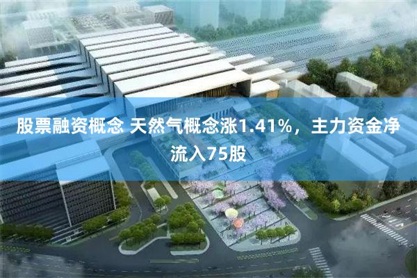 股票融资概念 天然气概念涨1.41%，主力资金净流入75股
