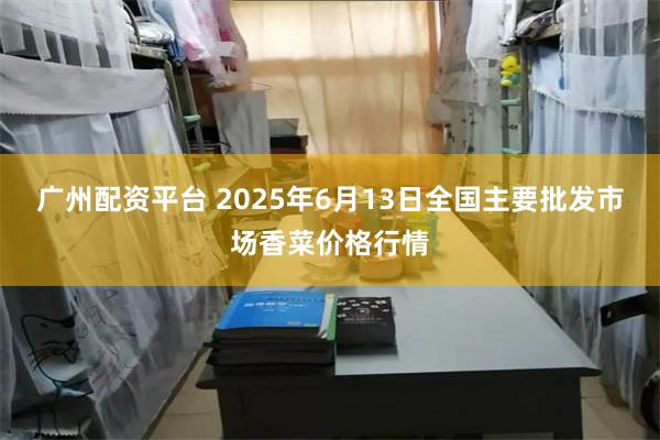 广州配资平台 2025年6月13日全国主要批发市场香菜价格行情
