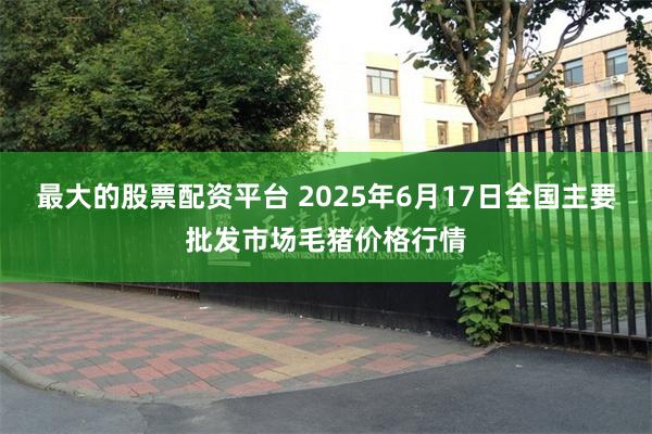 最大的股票配资平台 2025年6月17日全国主要批发市场毛猪价格行情