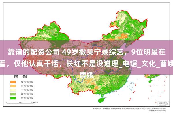 靠谱的配资公司 49岁撒贝宁录综艺，9位明星在看，仅他认真干活，长红不是没道理_电锯_文化_曹娥